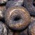 Poppy Bagel