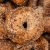 Everything Bagel